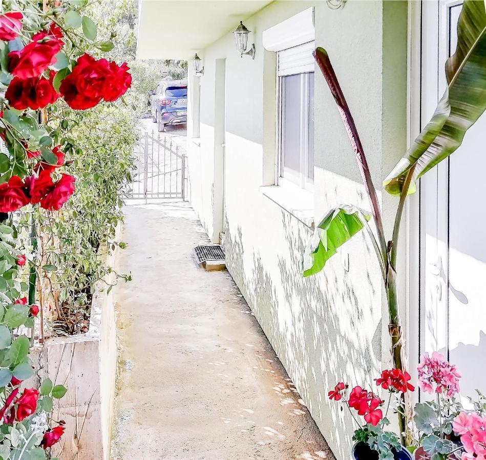Apartments Siesta ティヴァト エクステリア 写真